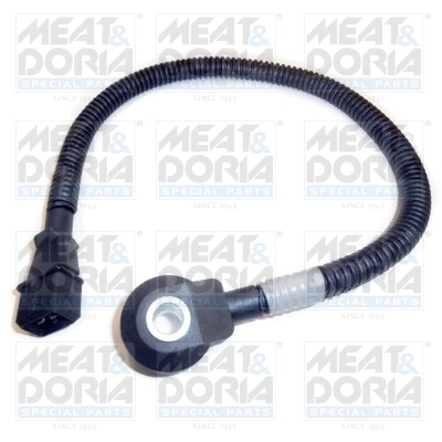 Knock Sensor